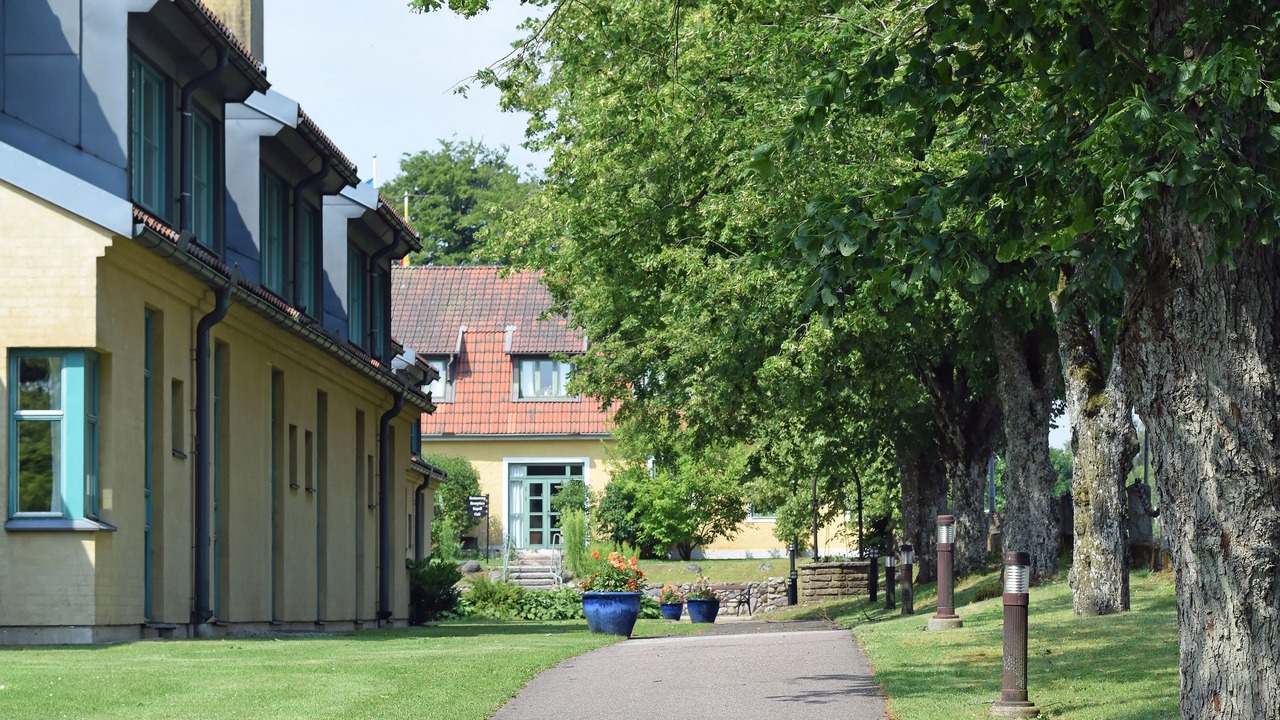 Photo of Outdoor in Hoor