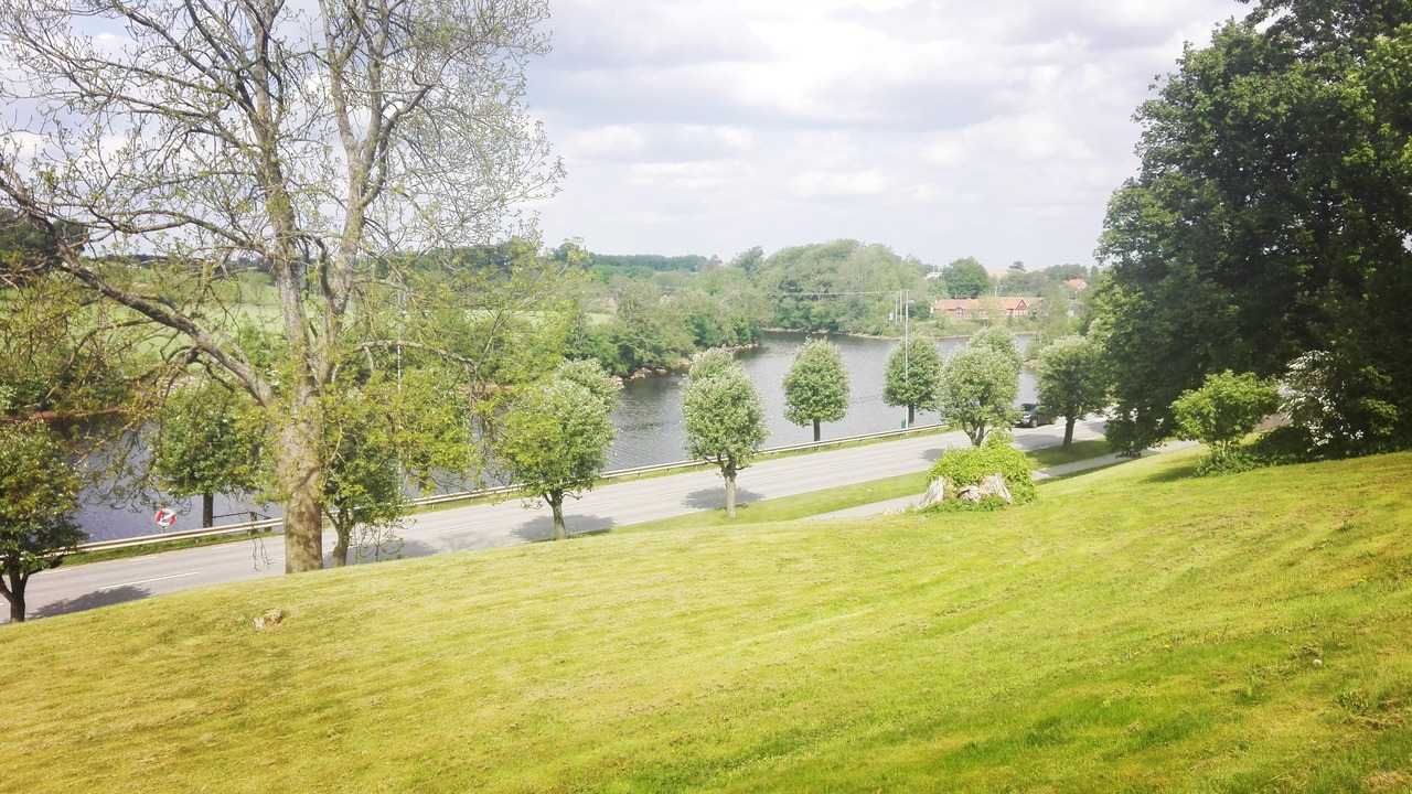 Photo of Others in Laholm