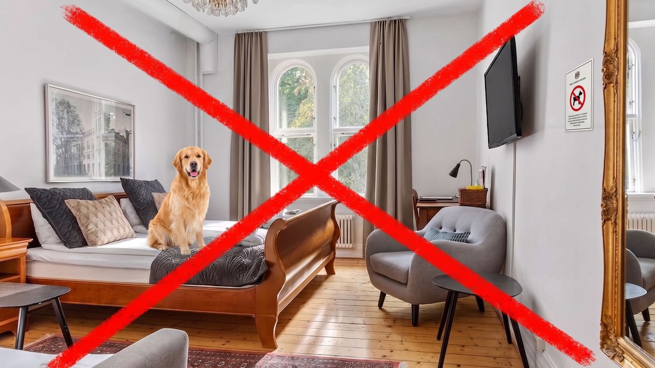 Photo of Bedroom in Malmen