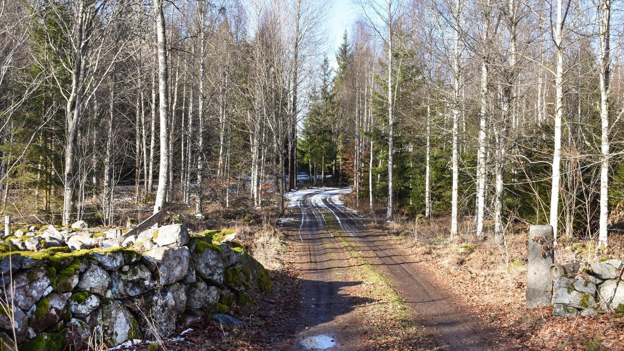 Photo of Outdoor in Tingsryd