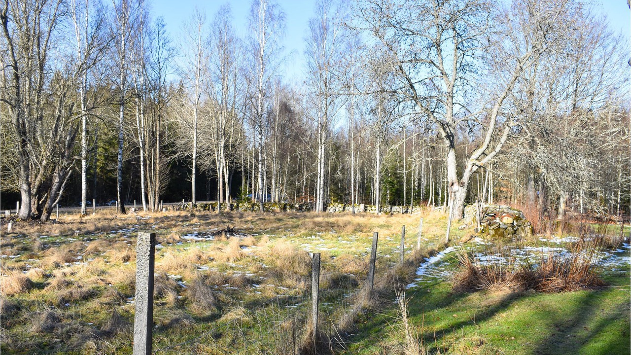 Photo of Outdoor in Tingsryd