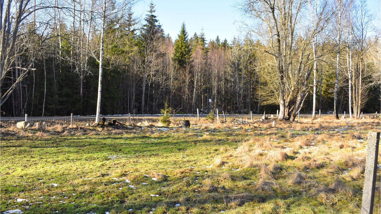 Photo of Outdoor in Tingsryd