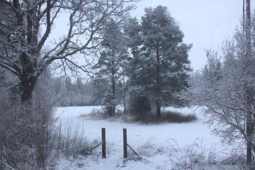 Photo of Others in Skarplinge