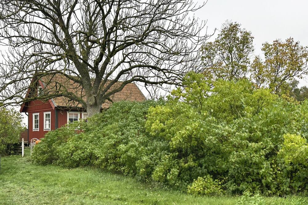 Photo of Outdoor in Farjestaden