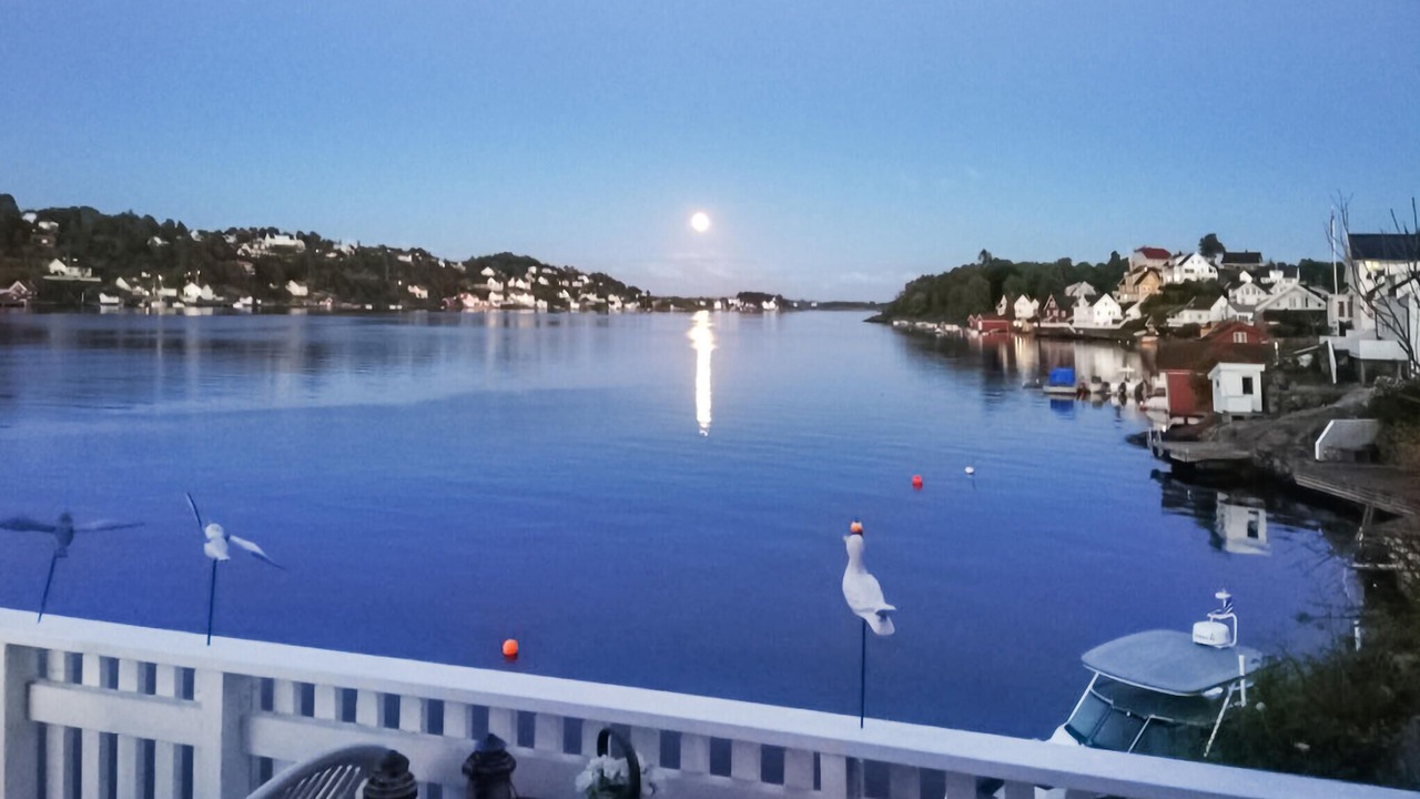 Photo of Others in Kolbjørnsvik