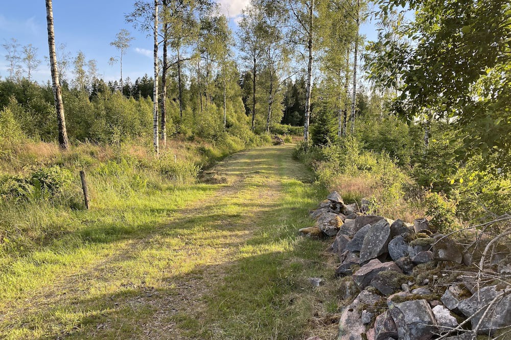 Photo of Others in Fegen