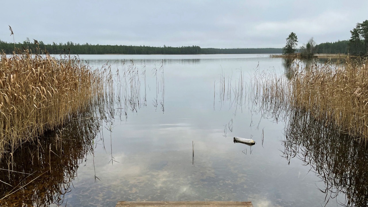 Photo of Others in Vaggeryd