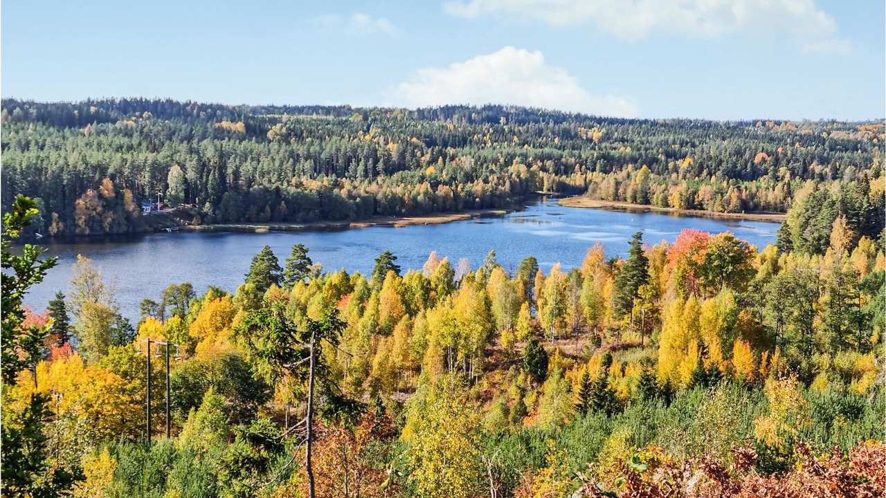 Photo of Others in Vetlanda