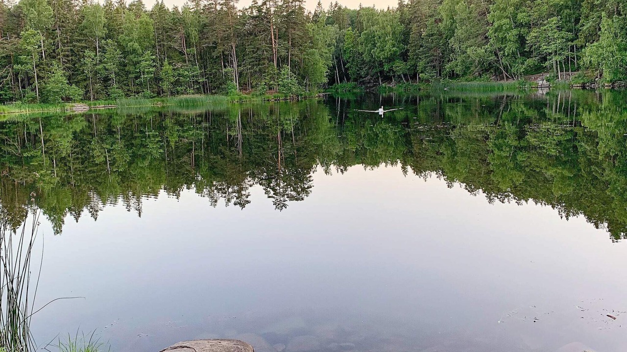 Photo of Outdoor in Tyreso