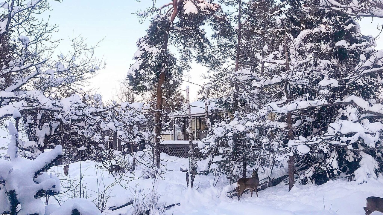 Photo of Outdoor in Tyreso