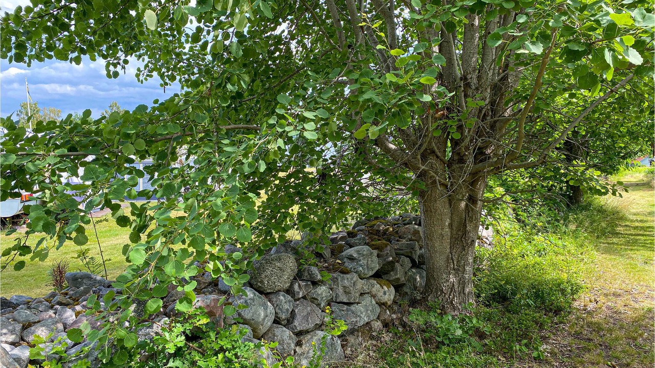 Photo of Outdoor in Vastervik