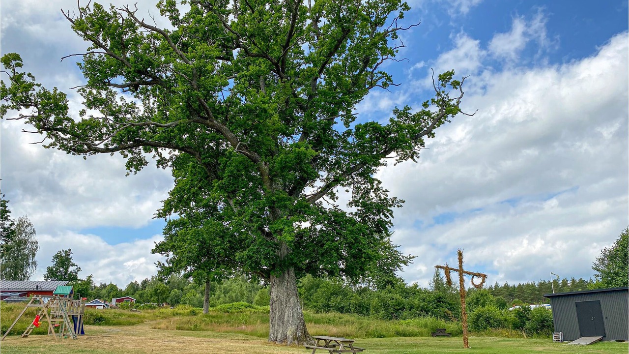 Photo of Outdoor in Vastervik