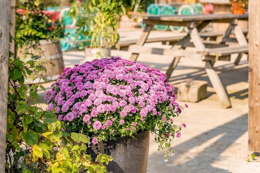 Photo of Outdoor in Gerlesborg