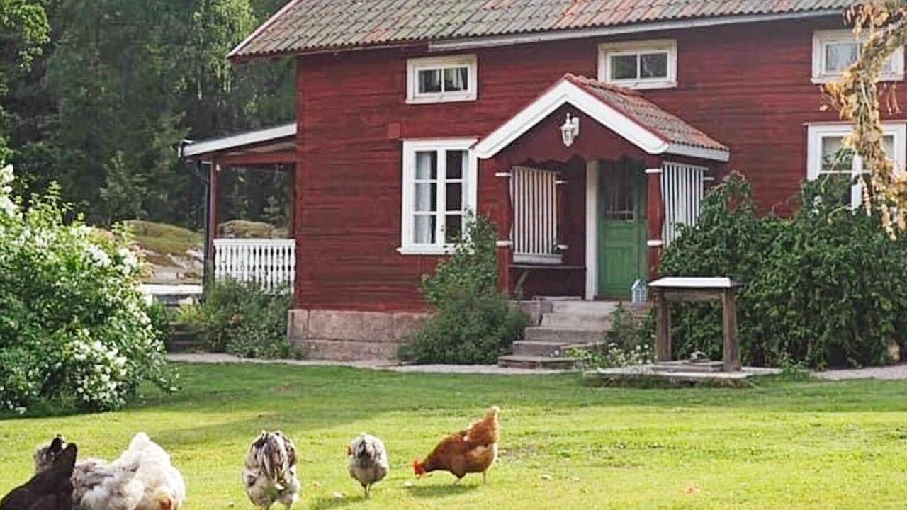 Photo of Outdoor in Hedesunda