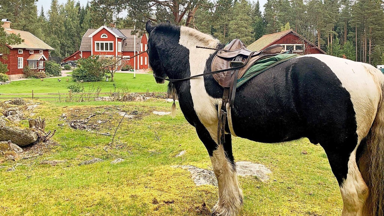 Photo of Others in Hedesunda