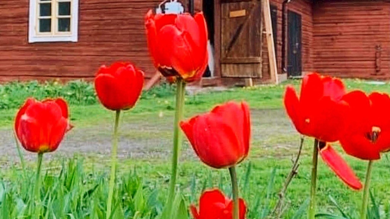Photo of Outdoor in Hedesunda