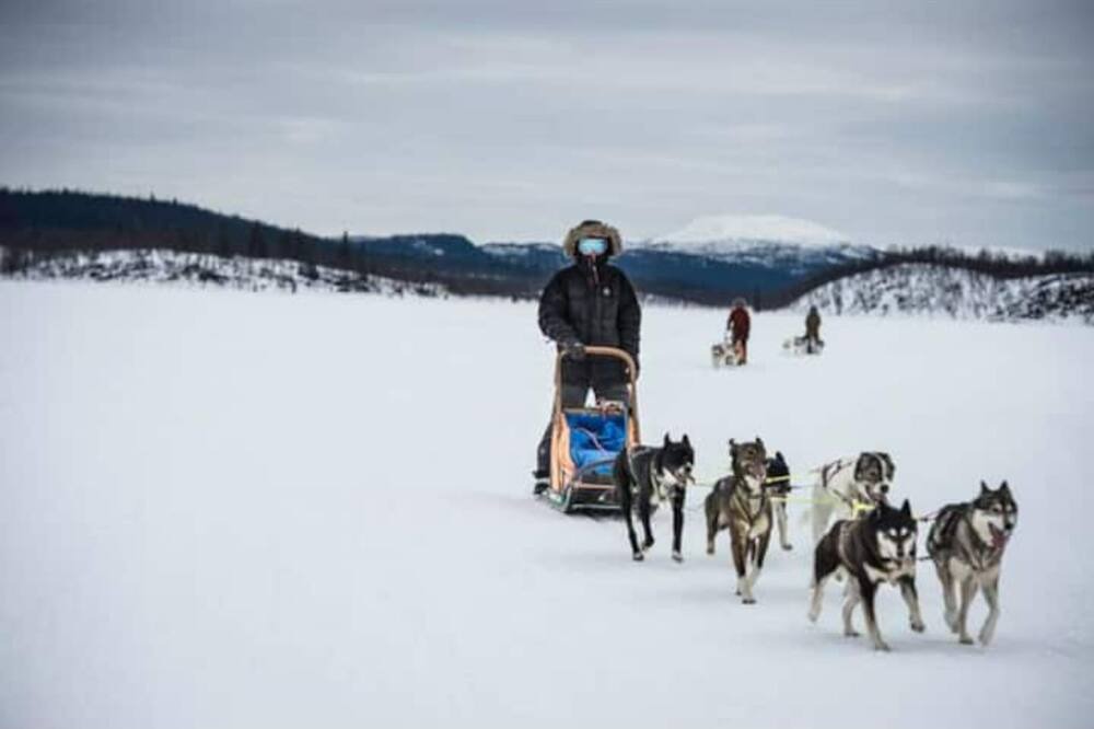 Photo of Others in Blattnicksele