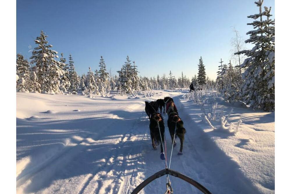 Photo of Others in Blattnicksele