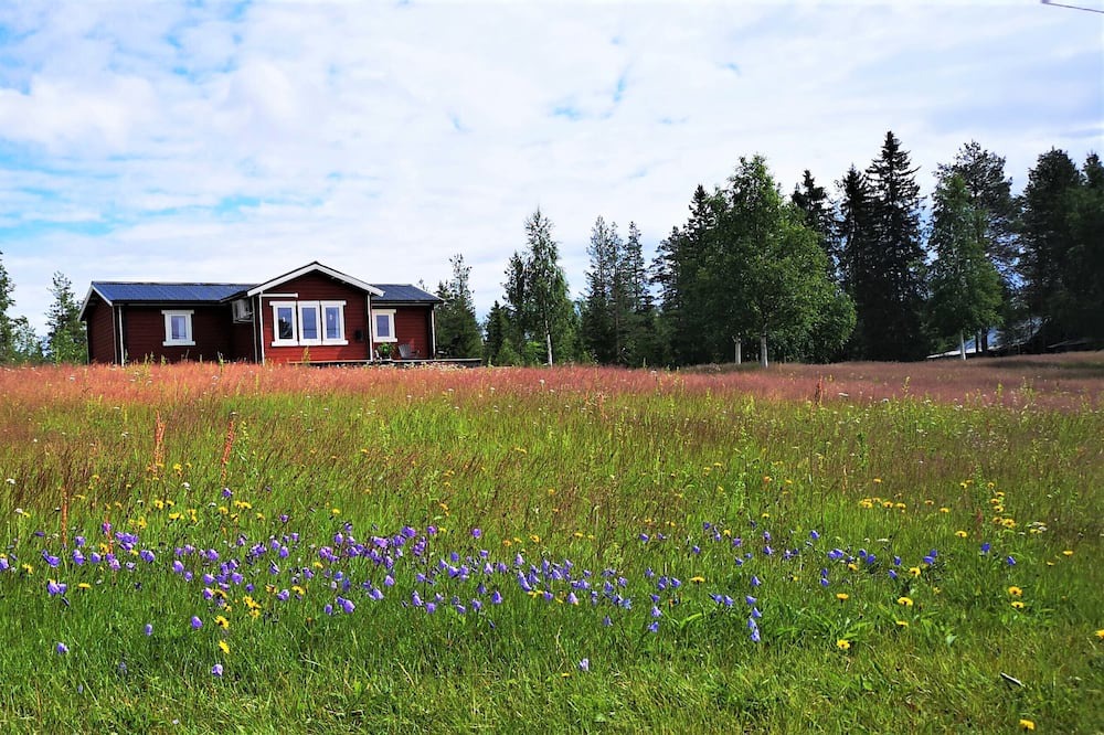 Photo of Outdoor in Blattnicksele