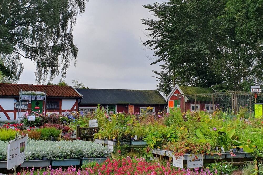 Photo of Outdoor in Farhult
