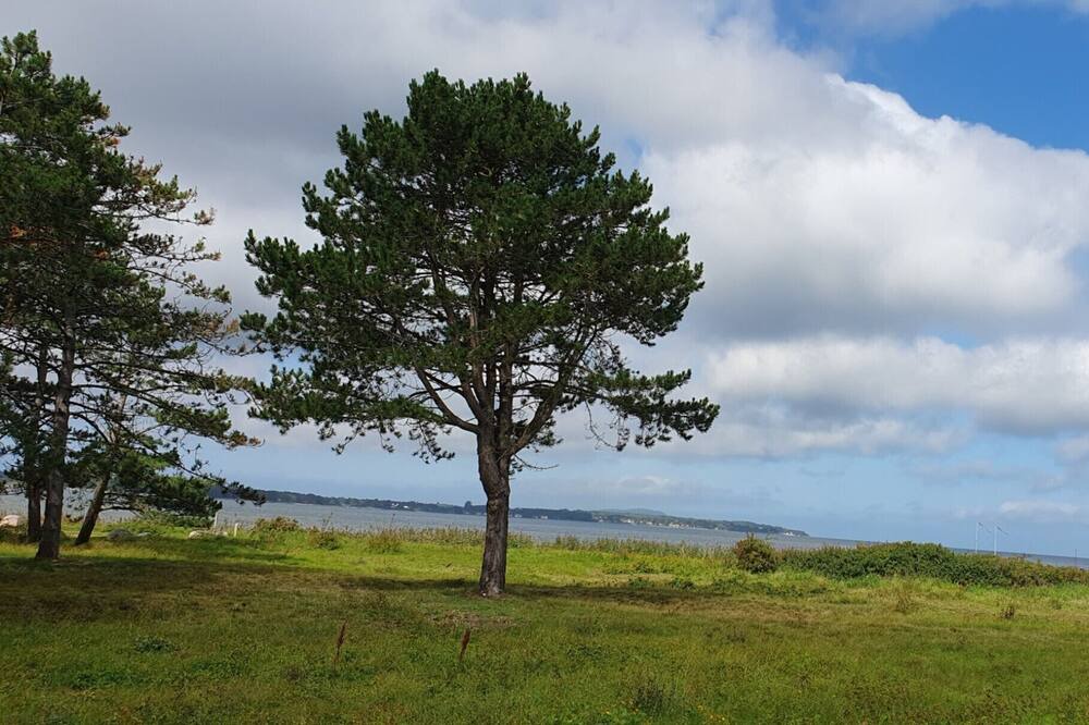 Photo of Outdoor in Farhult