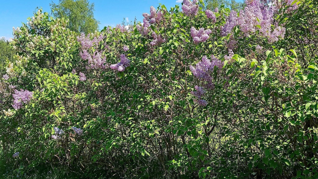 Photo of Outdoor in Sodertalje