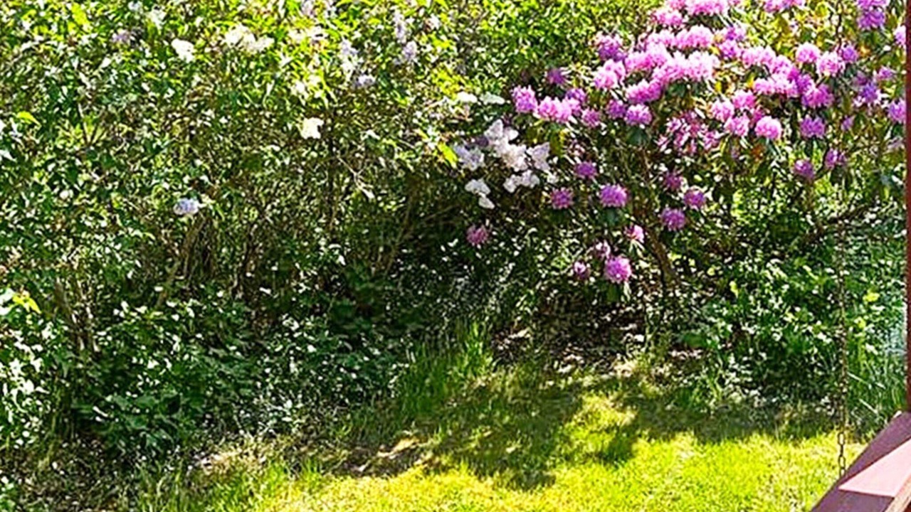 Photo of Outdoor in Sodertalje