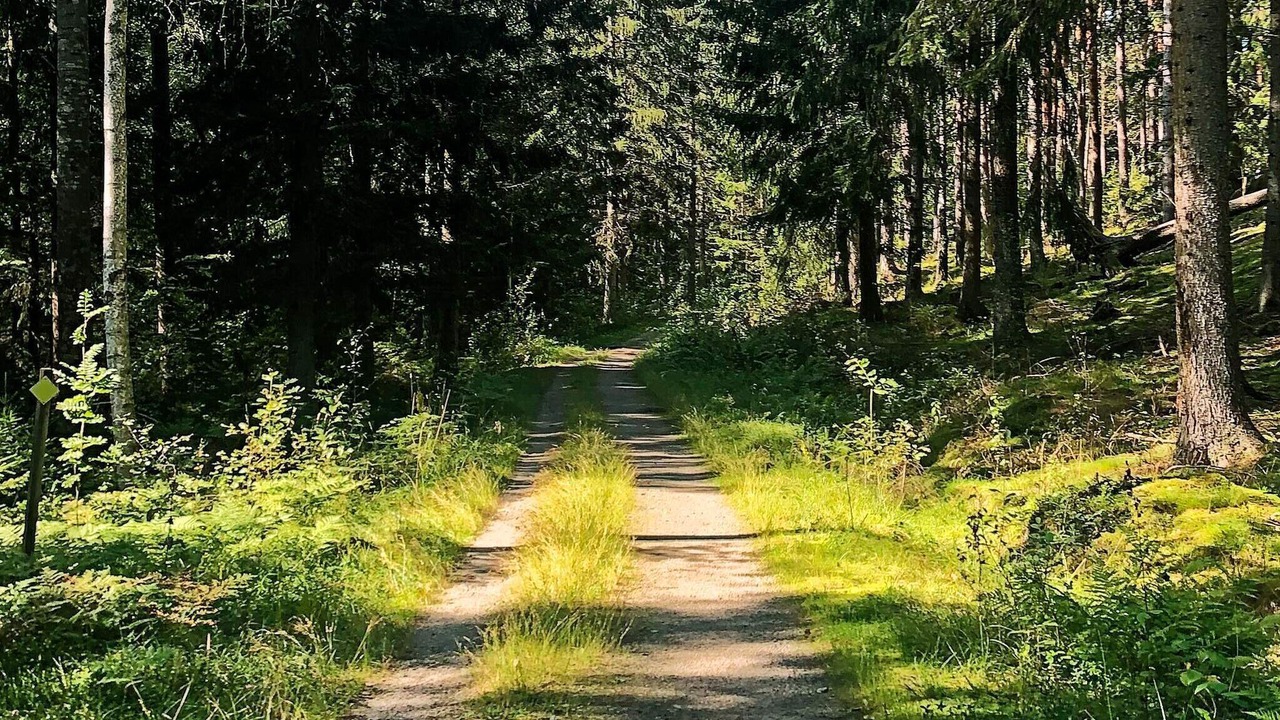 Photo of Outdoor in Sodertalje