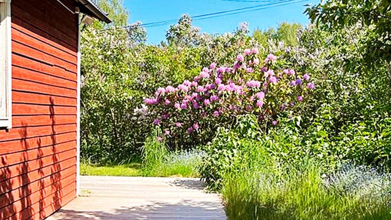 Photo of Outdoor in Sodertalje