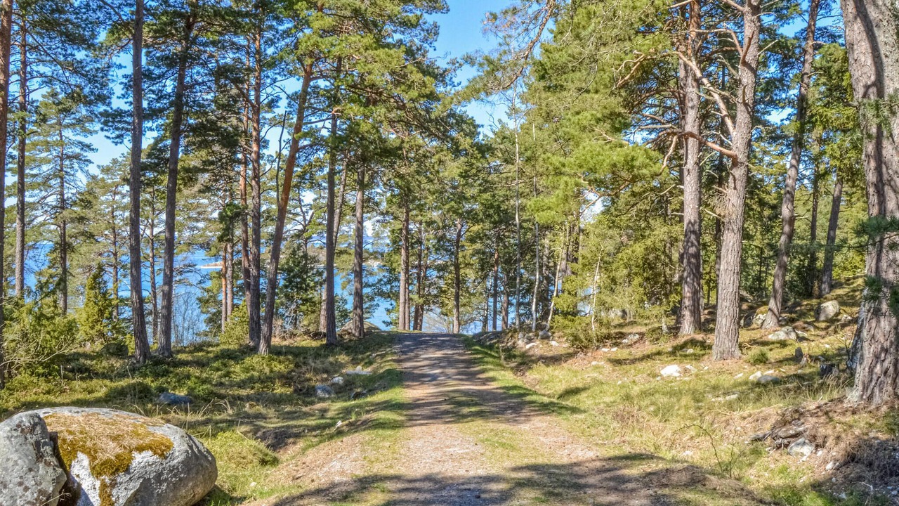 Photo of Others in Haninge Municipality