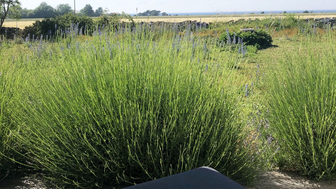 Photo of Outdoor in Degerhamn