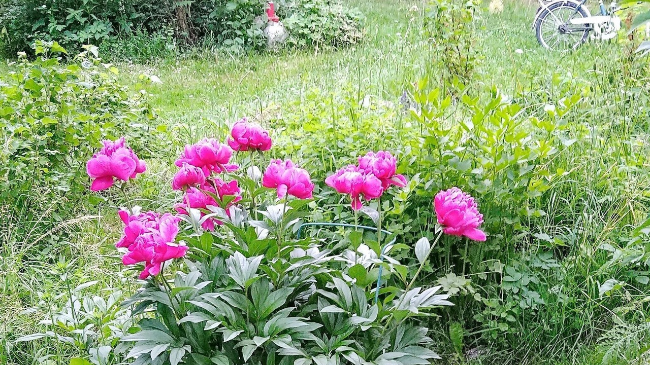 Photo of Outdoor in Haninge