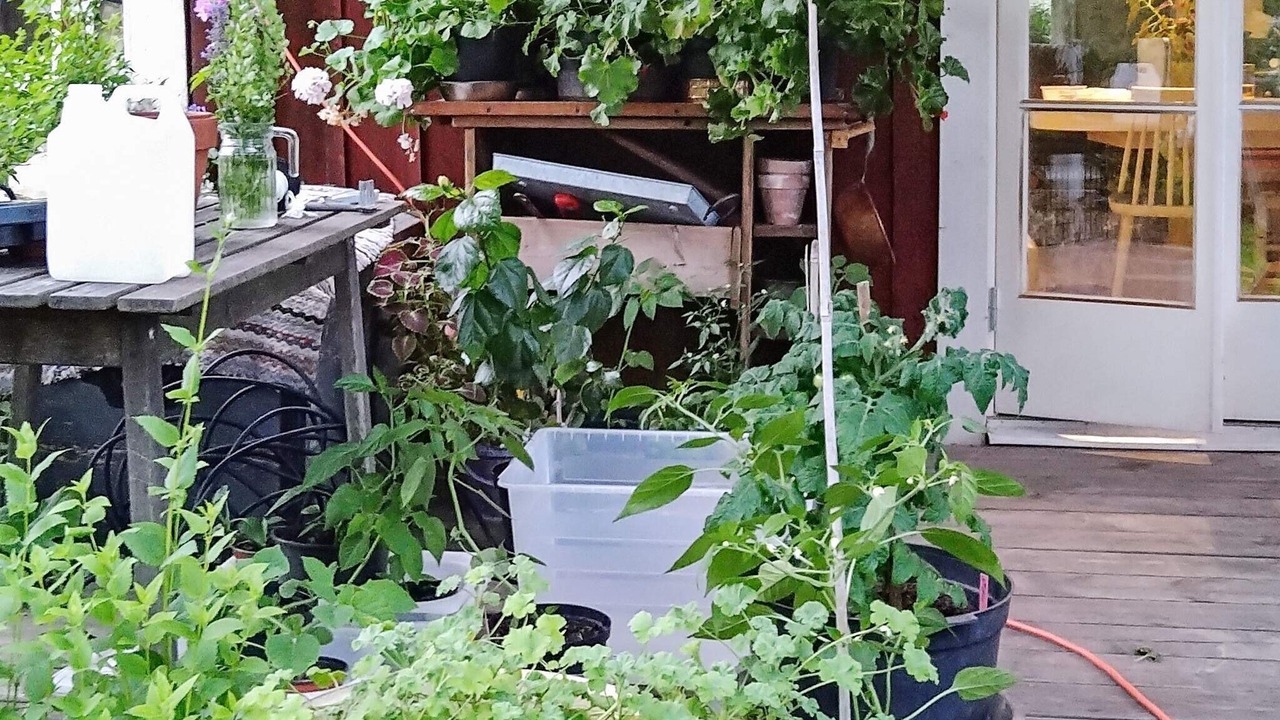 Photo of Outdoor in Haninge