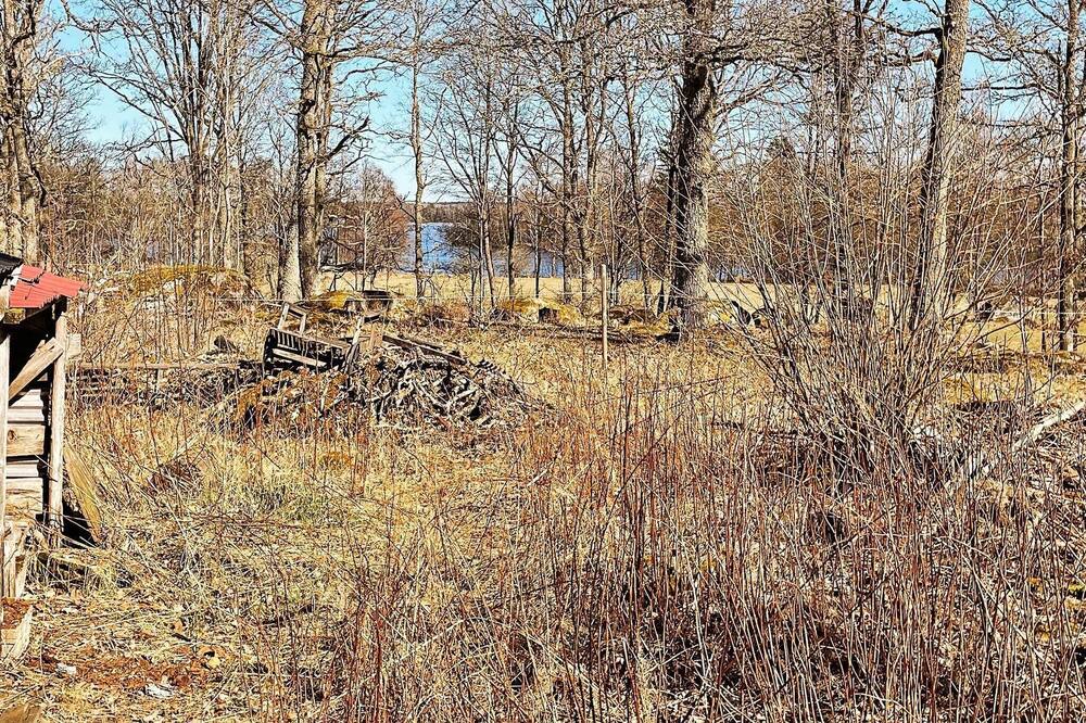 Photo of Outdoor in Alvesta Municipality