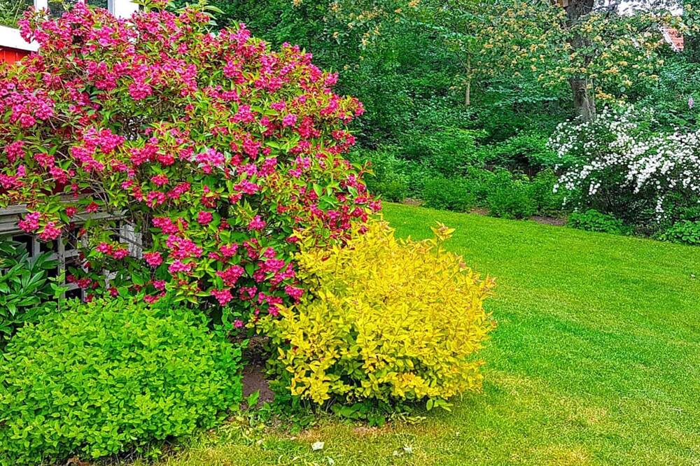 Photo of Outdoor in Molle
