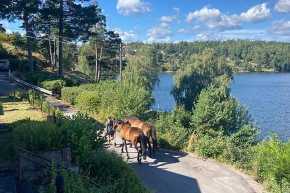 Photo of Outdoor in Sodertalje Municipality