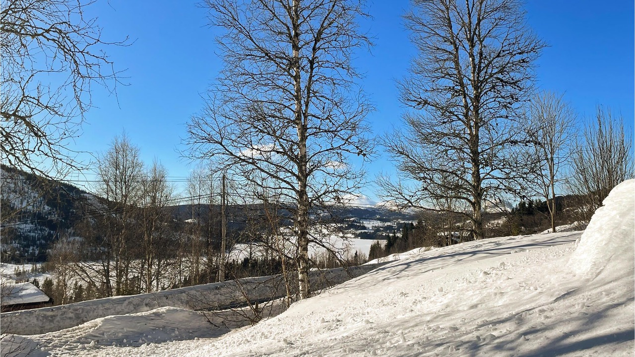 Photo of Others in Steinsetbygdi