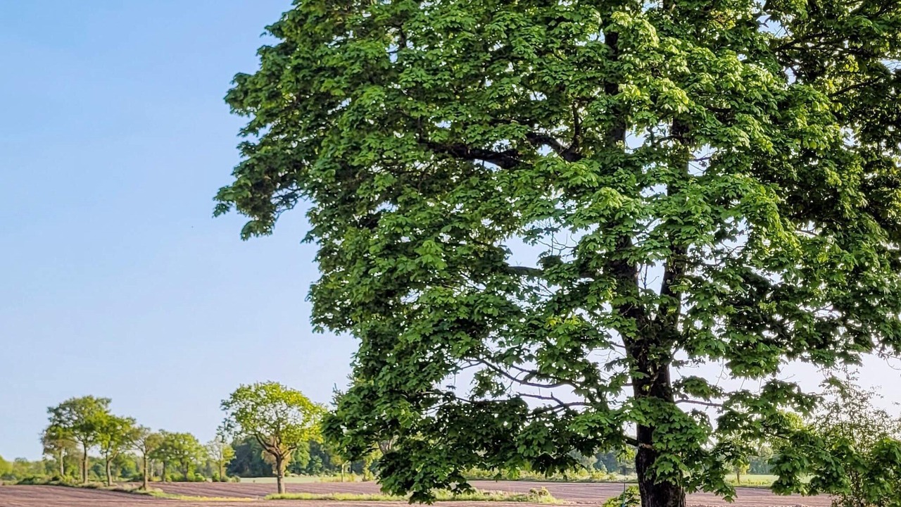 Photo of Outdoor in Sjobo Municipality