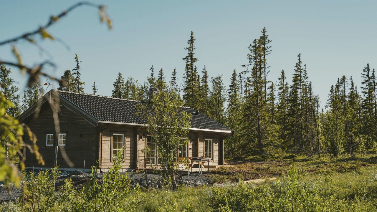 Photo of Outdoor in Undersaker