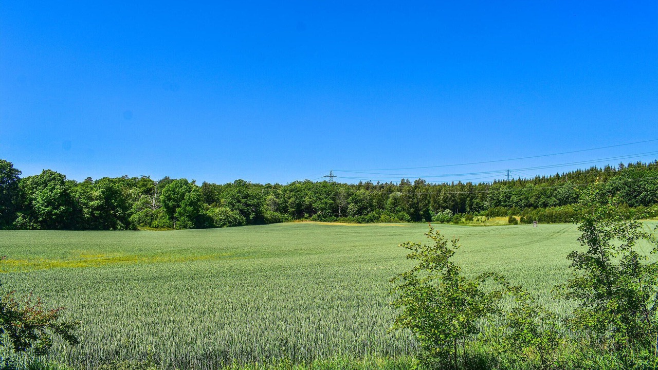 Photo of Others in Alstugorna