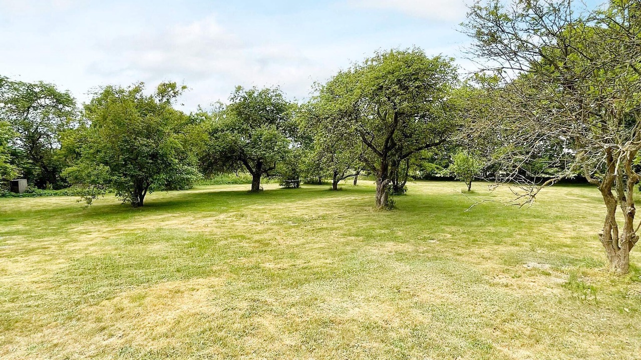 Photo of Outdoor in Andrarum