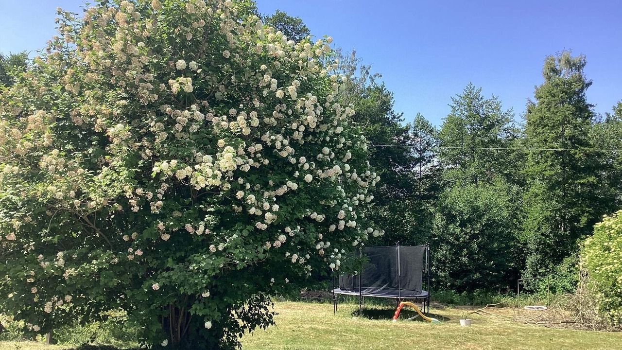 Photo of Outdoor in Huskvarna