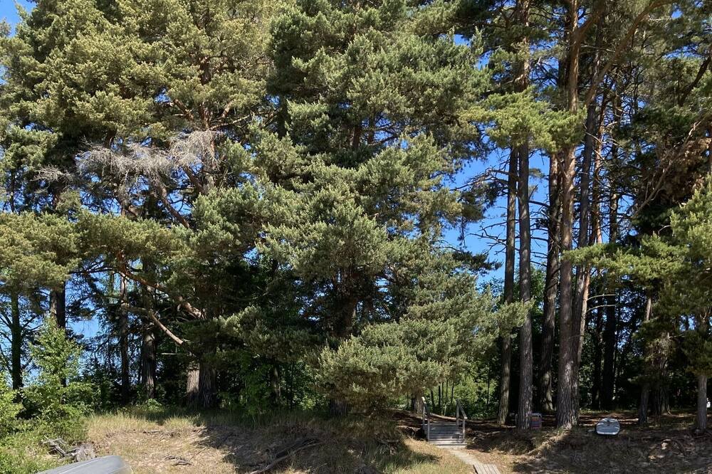 Photo of Others in Motala