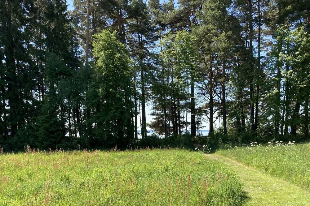 Photo of Outdoor in Motala