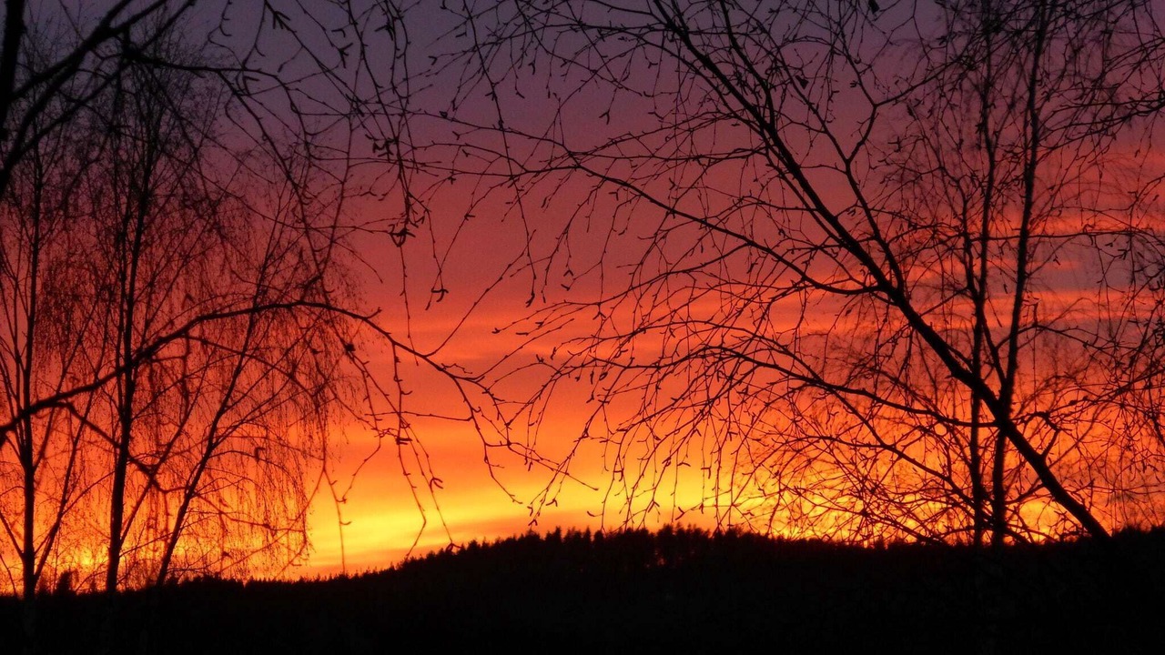 Photo of Outdoor in Letafors
