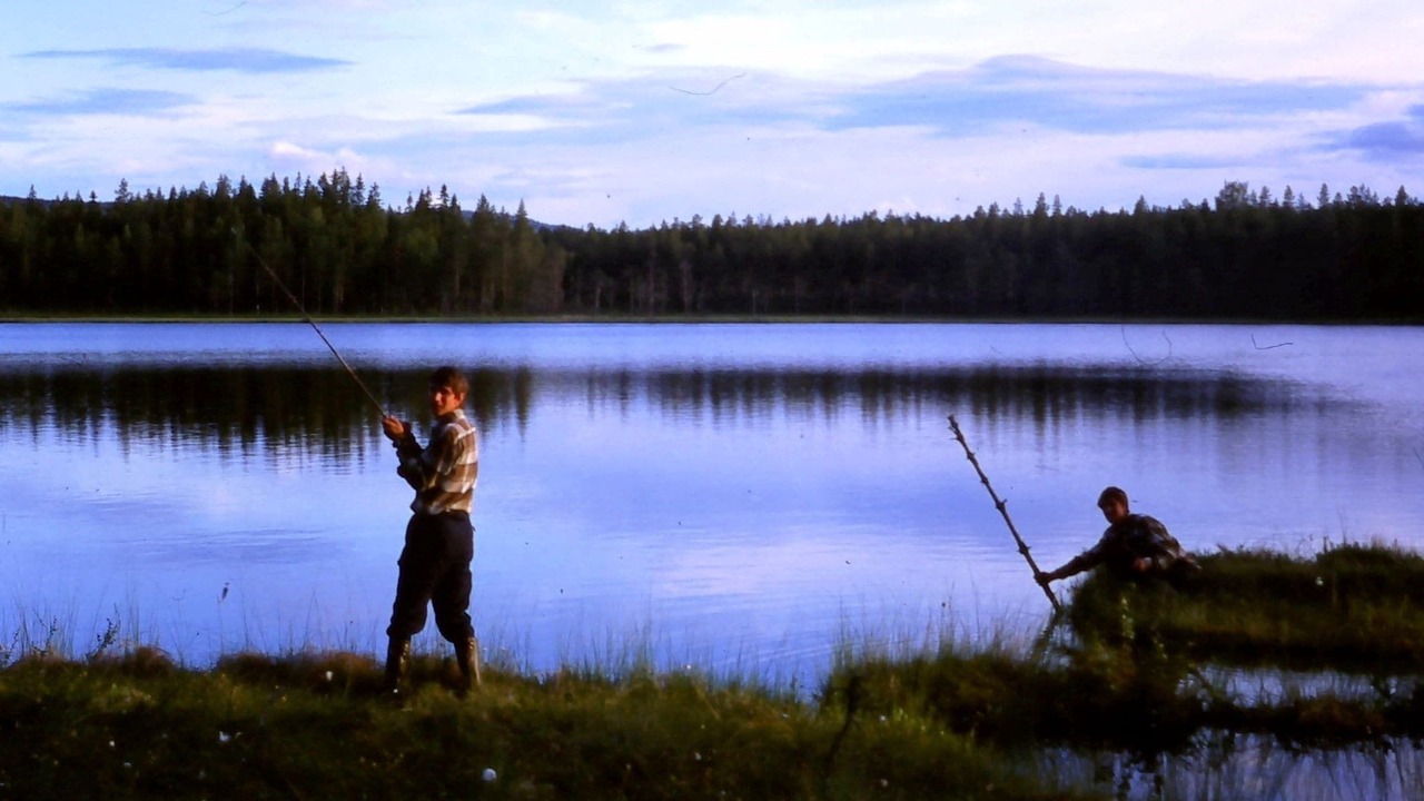 Photo of Others in Letafors