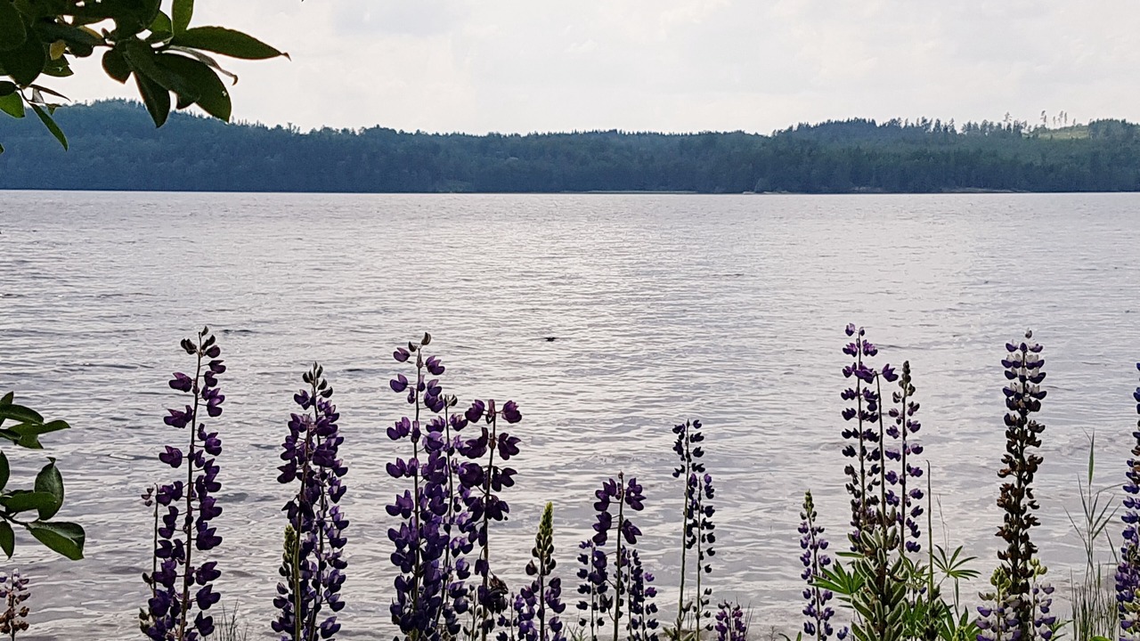 Photo of Outdoor in Odskolt