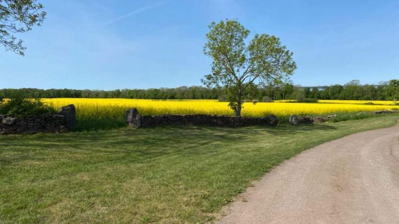 Photo of Outdoor in Storlinge