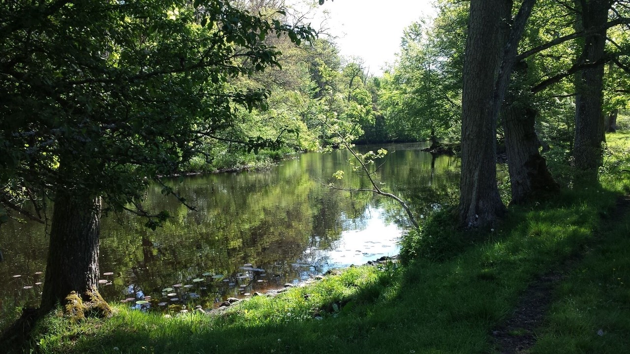 Photo of Outdoor in Alem