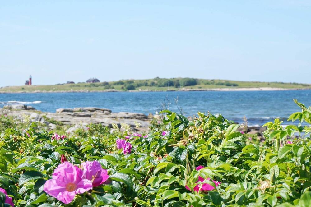 Photo of Others in Halmstad